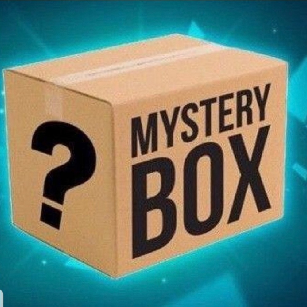Torrid Plus Size Reseller Mystery box